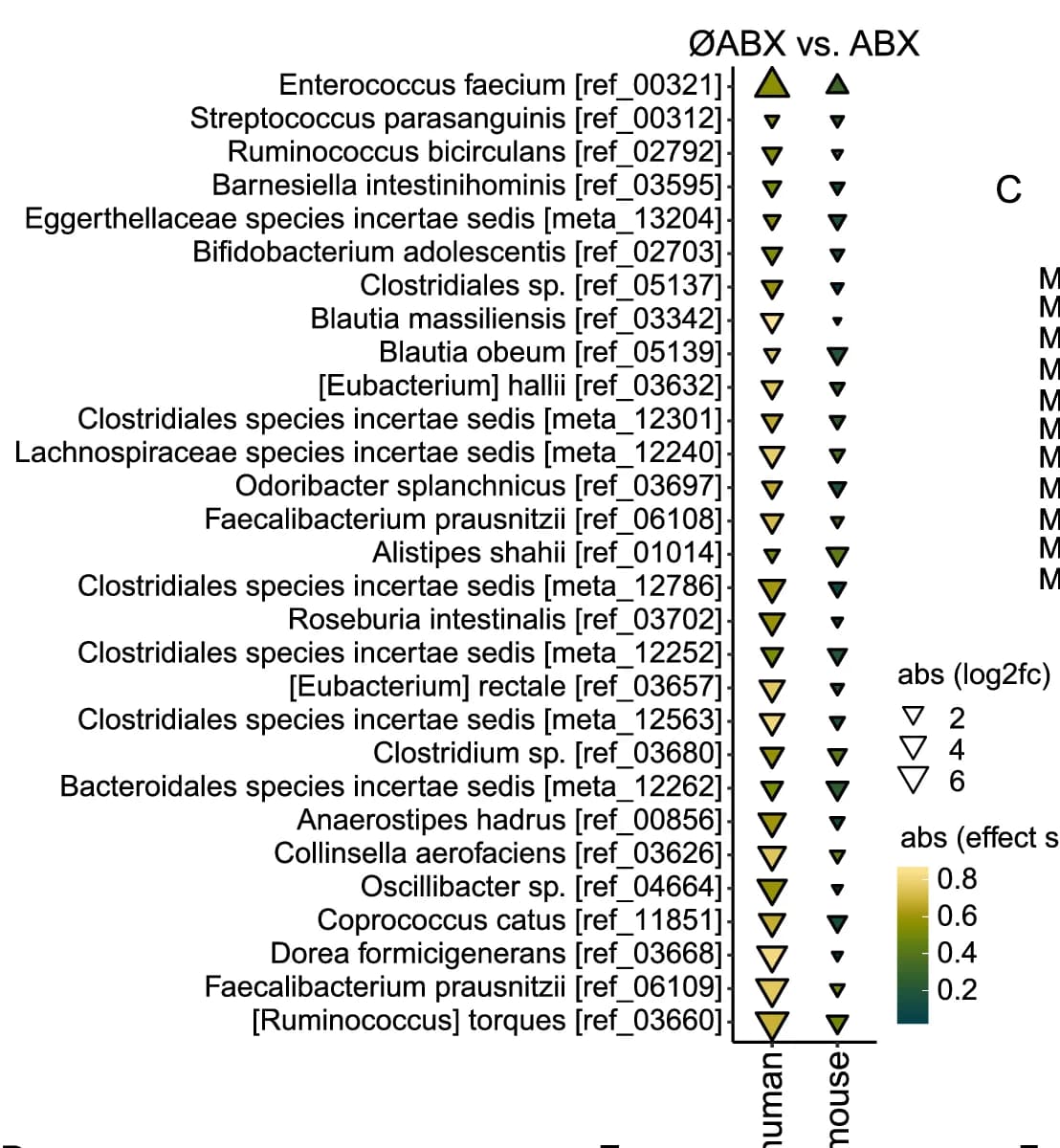 Open access visualization of Scatter Plot, Volcano Plot, Antibiotic Associated Alterations, Bacterial Species, Functional Modules