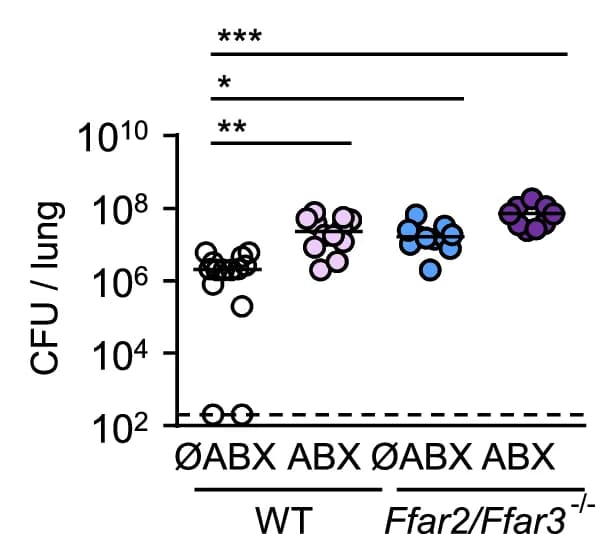 Open access visualization of Scatter Plot, Bacterial Loads, CFU, Lungs, Human Microbiota