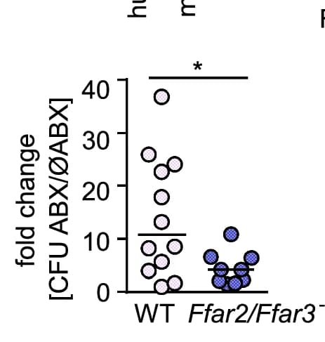 Open access visualization of Scatter Plot, Lung Bacterial Loads, Mice, ABX Associated Human Microbiota, ABX Naive Human Microbiota