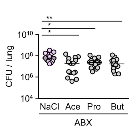 Open access visualization of Scatter Plot, WT Mice, Antibiotics, SCFA, NaCl