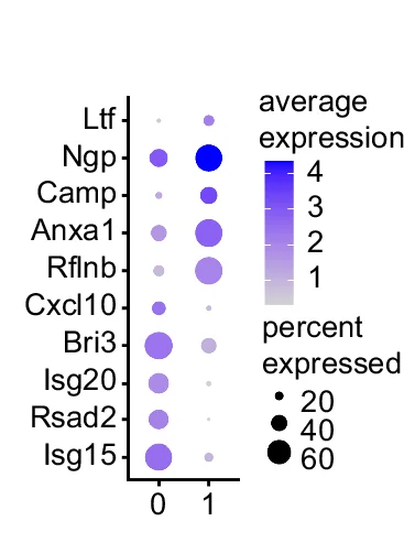 Open access visualization of Bubble Plot, Dot Plots, Differentially Expressed Genes, Cell Subcluster