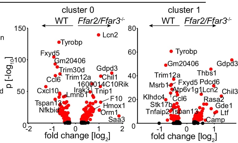 Open access visualization of Volcano Plot, Scatter Plot, Volcano Plots, Differentially Expressed Genes, Cell Subclusters