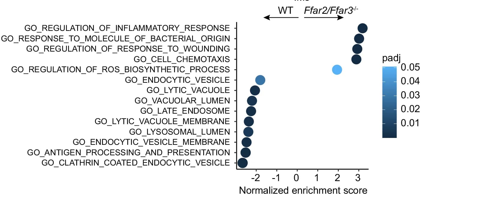 Open access visualization of Scatter Plot, Volcano Plot, GSEA, IMs, WT Mice