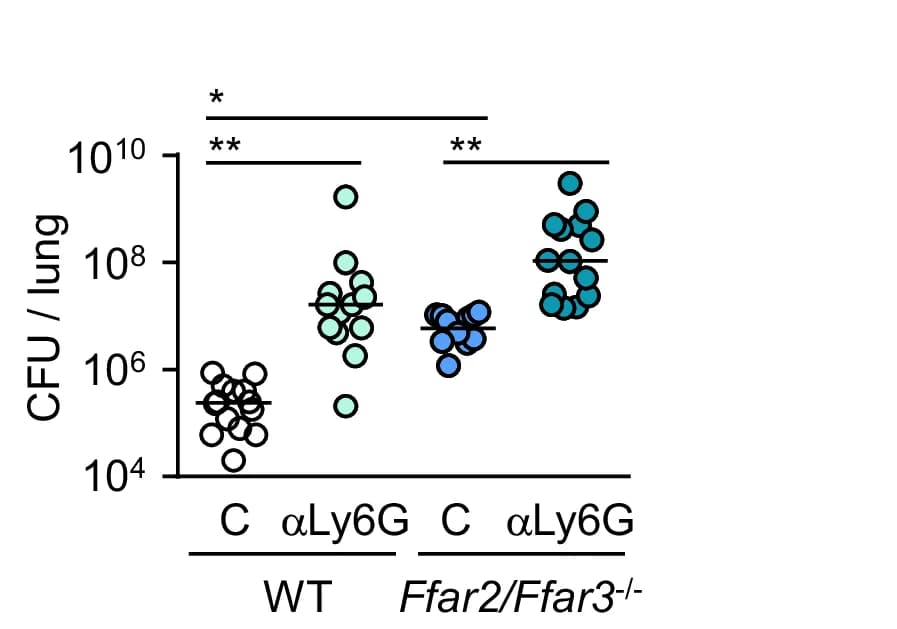 Open access visualization of Scatter Plot, Bacterial Loads, WT Mice, Ffar2/Ffar3 -/- Mice, Anti-Ly6G Antibody