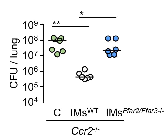 Open access visualization of Scatter Plot, Bacterial Loads, Ccr2 -/- Mice, WT Mice, Ffar2/Ffar3 -/- Mice