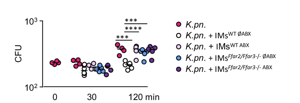Open access visualization of Scatter Plot, WT Mice, Ffar2/Ffar3 -/- Mice, Human Microbiota, Antibiotics