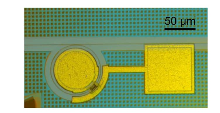 Open access visualization of Microscopy, Microscope Image, MRR
