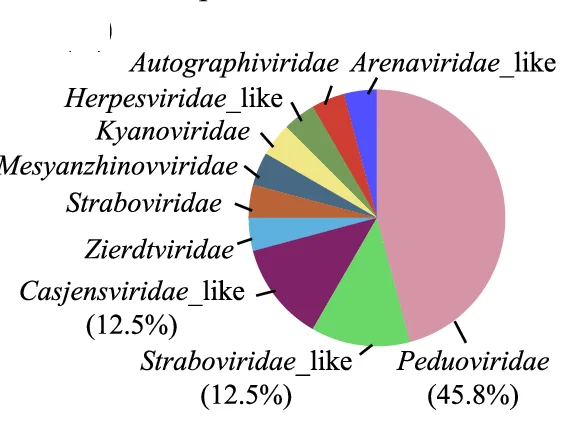 Open access visualization of Pie Chart, P-acquisition vOTUs, Family Classification, PhaGCN