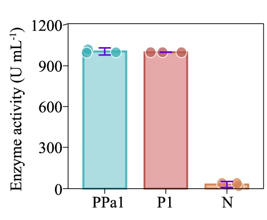 Open access visualization of Bar Plot, Error Bars, PPa1 Activity, PPa54 Activity, Phage-Encoded Protein