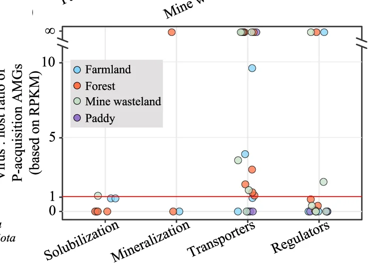 Open access visualization of Scatter Plot, Transcript Ratio, Phage, Host, Gene Pairs