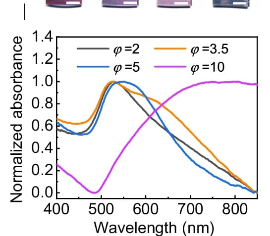 Open access visualization of Line Plot, Absorbance Spectra, Au-Deposited Samples, PDMS Membranes, Crosslinker Concentrations