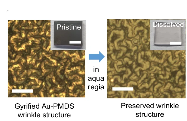 Open access visualization of Microscopy, Photo, Optical Microscopy, Gyrified Nanophase, Gold Dissolving