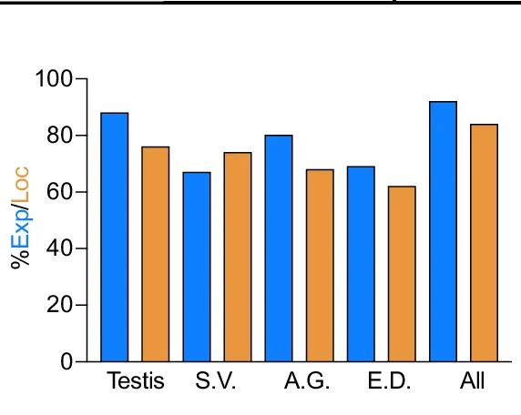 Open access visualization of Clustered, LncRNAs, Tissues, Subcellular Localization