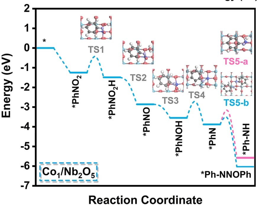Open access visualization of Line Plot, Energy Profiles, Hydrogenation, Nitrobenzene, Co 1 /Nb 2 O 5