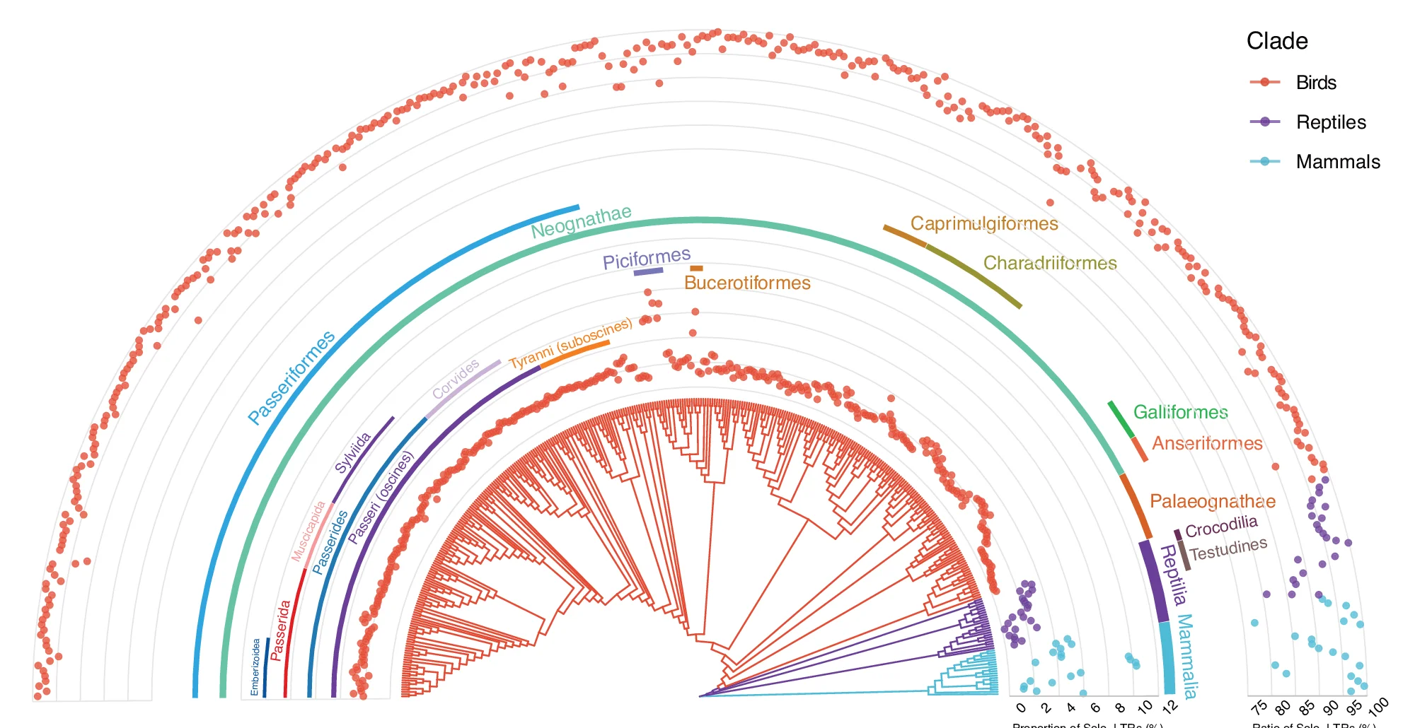 Open access visualization of Scatter Plot, Network, Line Plot, Line Step, Phylogenetic Tree