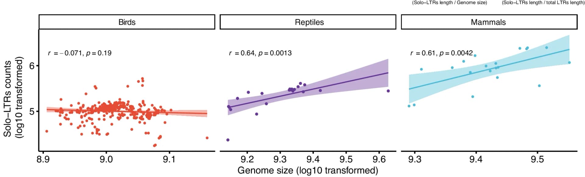 Open access visualization of Scatter Plot, Regression Plot, Solo-LTRs, Genome Size, Mammals