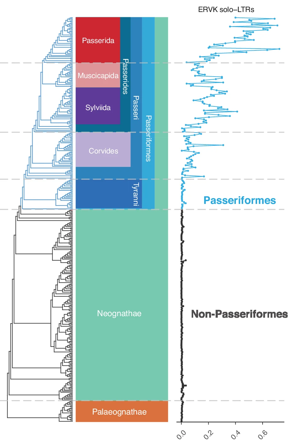 Open access visualization of Line Plot, Line Step, Phylogenetic Tree, ERVK solo-LTRs, Bird Species