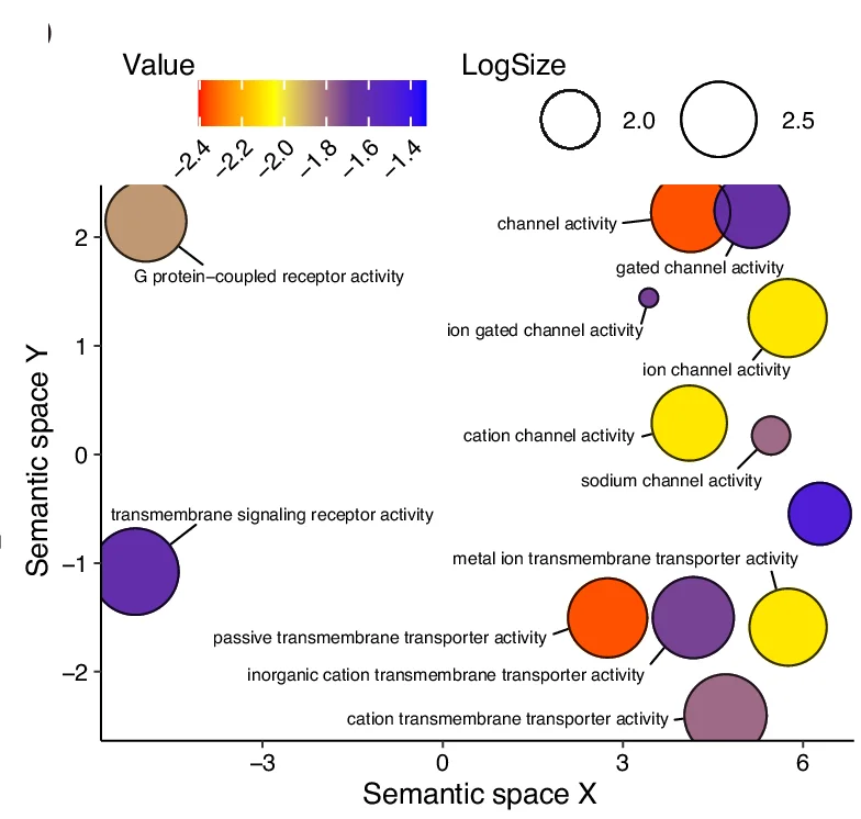 Open access visualization of Bubble Plot, Scatter Plot, GO Terms, Genes, Molecular Function