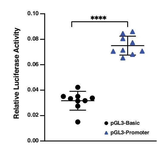 Open access visualization of Scatter Plot, Error Bars, Dual-Luciferase Reporter Assay, UMNSAH/DF-1 Cell Line, Cis-Regulation