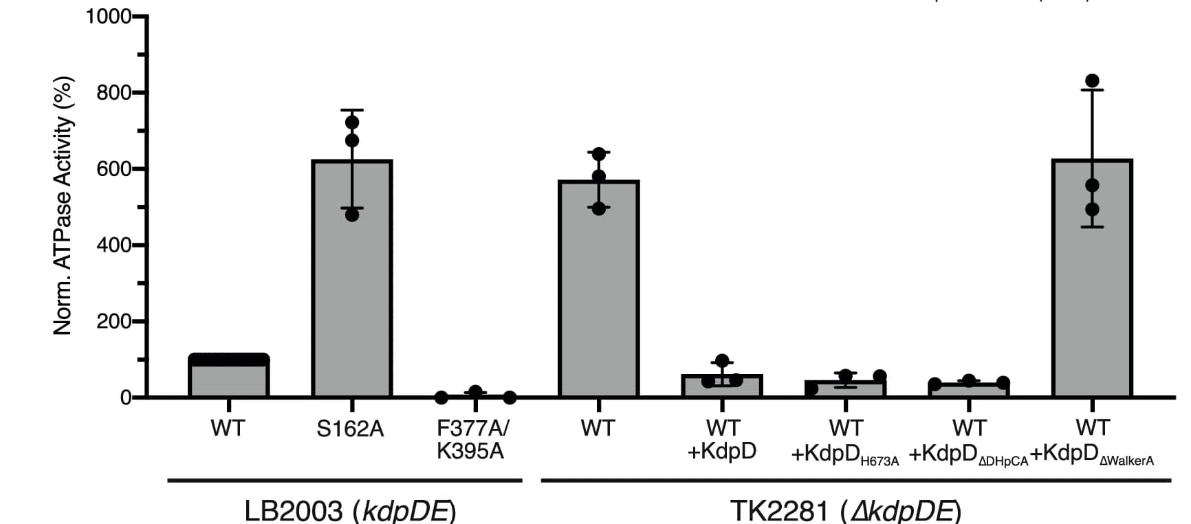 Open access visualization of Bar Plot, Error Bars, KdpFABC, KdpD, E. Coli LB2003 Cells