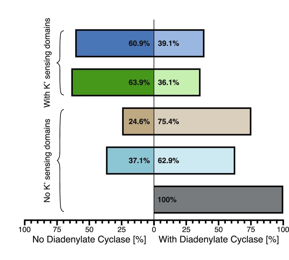 Open access visualization of Bar Plot, KdpD Versions, K+-sensing TM domain, GAF domain, Diadenylate Cyclase