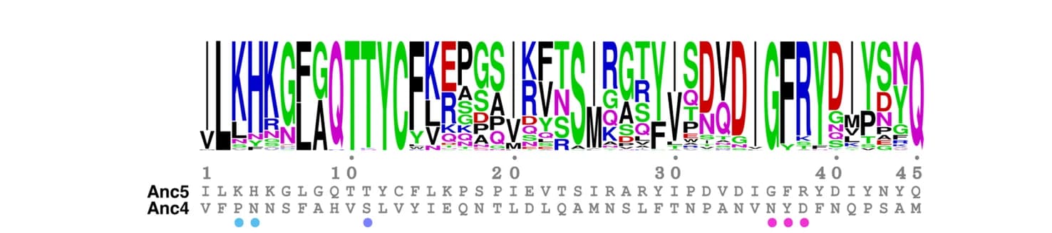 Open access visualization of Illustration, Sequence Logo, Substitutions, Anc4, Anc5
