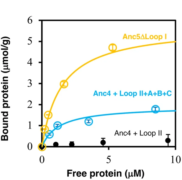 Open access visualization of Line Plot, Error Bars, Binding Curves, Anc4 + Loop II + A + B + C, Anc5ΔLoop I