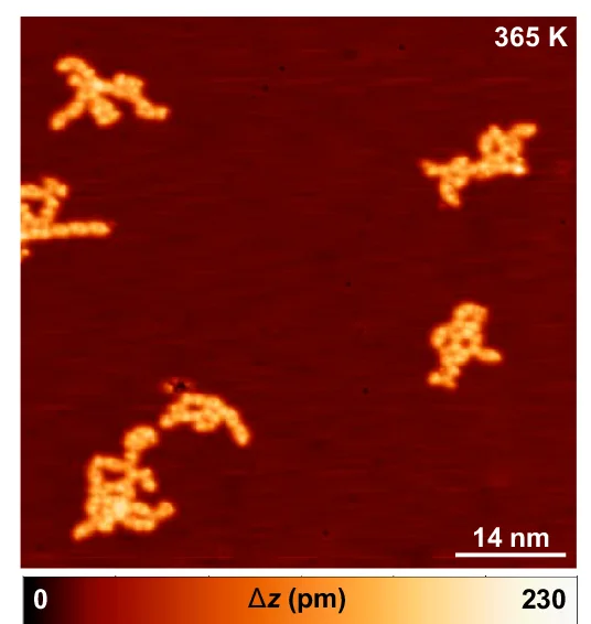 Open access visualization of Microscopy, STM Images, Annealing, C-Cu-C Organometallics, m TBPT