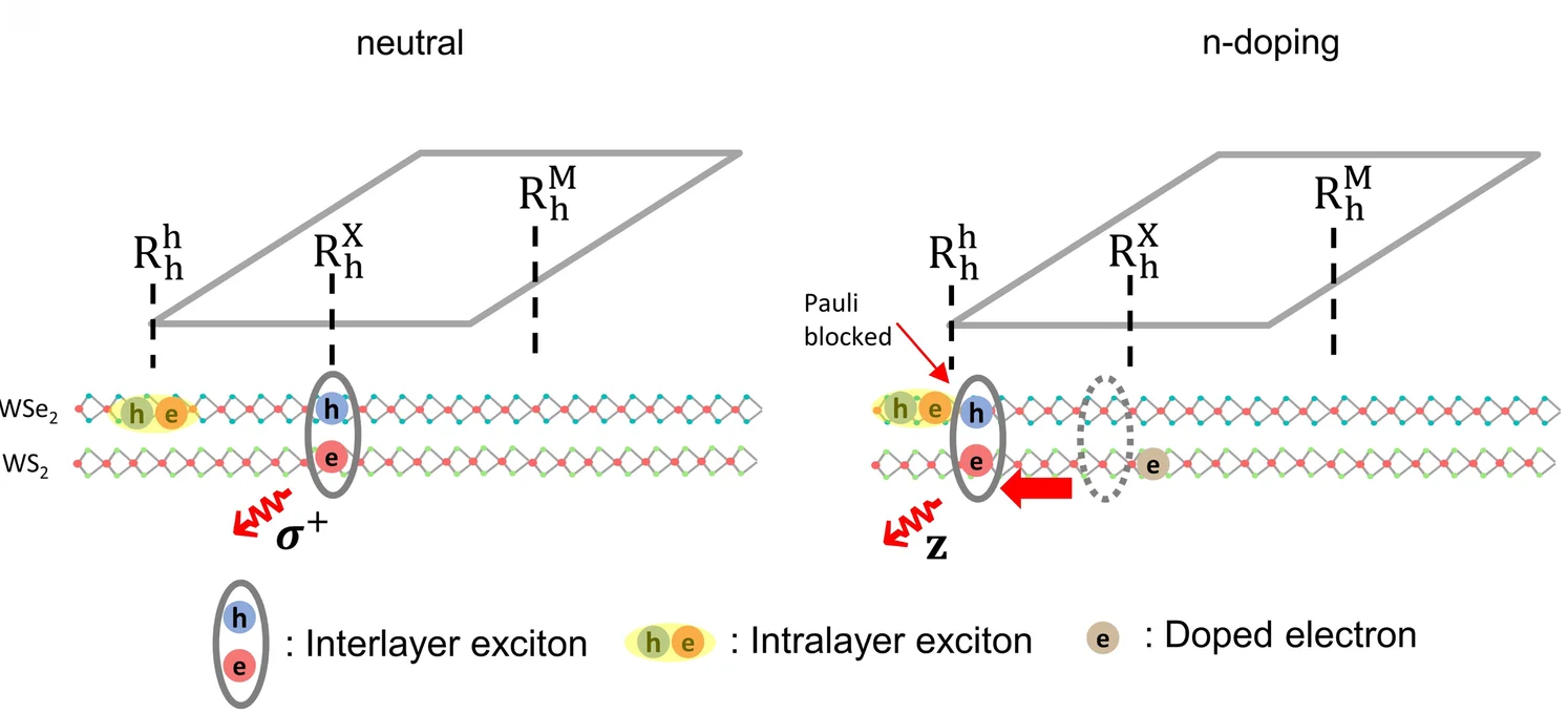 Open access visualization of Illustration, Chemical Structure, Moire Exciton, Interlayer Excitons, Electron Doping