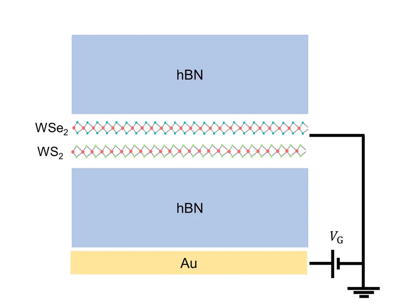 Open access visualization of Illustration, Chemical Structure, Device Schematic, hBN Encapsulation, WSe2/WS2 Heterostructure