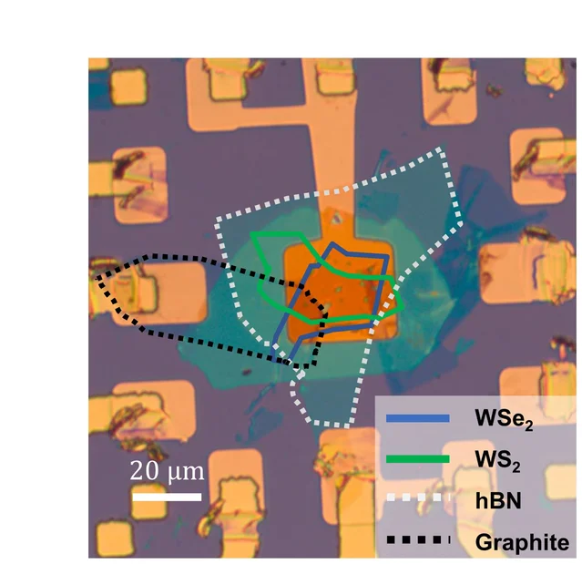 Open access visualization of Microscopy, Optical Microscopy, Twisted Heterobilayer, WSe2/WS2 Heterostructure