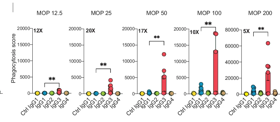 Open access visualization of Scatter Plot, Error Bars, Phagocytosis Score, mAb Treatment, MOP