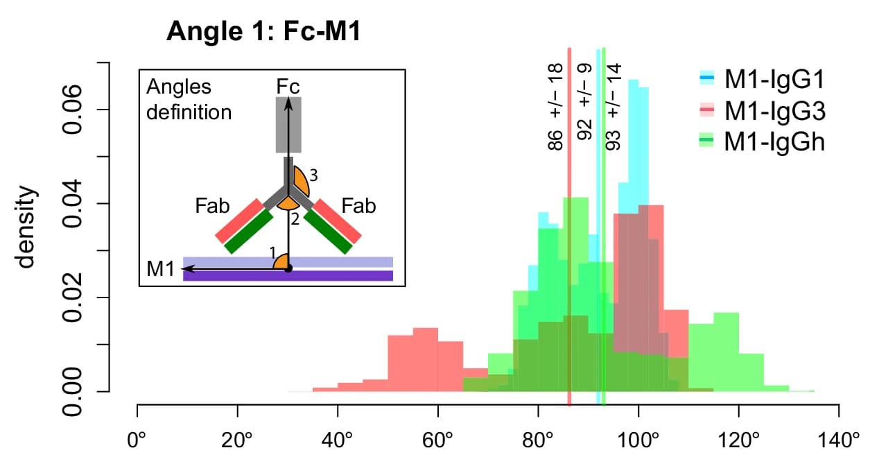 Open access visualization of Histogram, Error Bars, Fc Domain, M1 Protein, IgG1