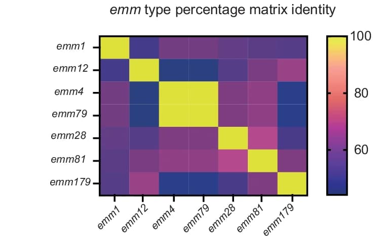 Open access visualization of Heatmap, Emm Types, Identity Matrix, Epitope, Ab25