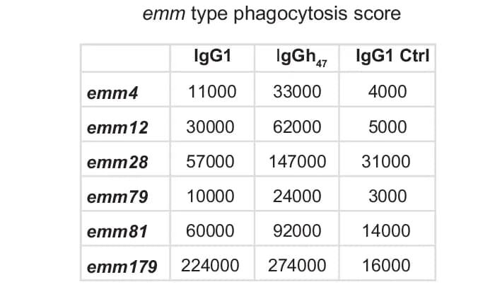Open access visualization of Table Image, Phagocytosis Score, mAb, Emm Types