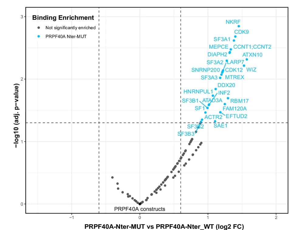Open access visualization of Scatter Plot, Volcano Plot, Protein Interactions, PRPF40A-Nter-WT, PRPF40A-Nter-MUT