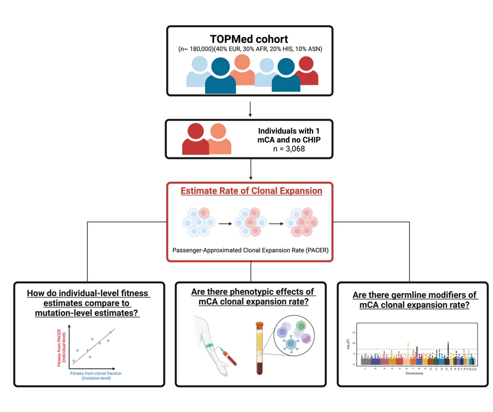 Open access visualization of Workflow, Scatter Plot, Manhattan Plot, Illustration, Mosaic Chromosomal Alterations