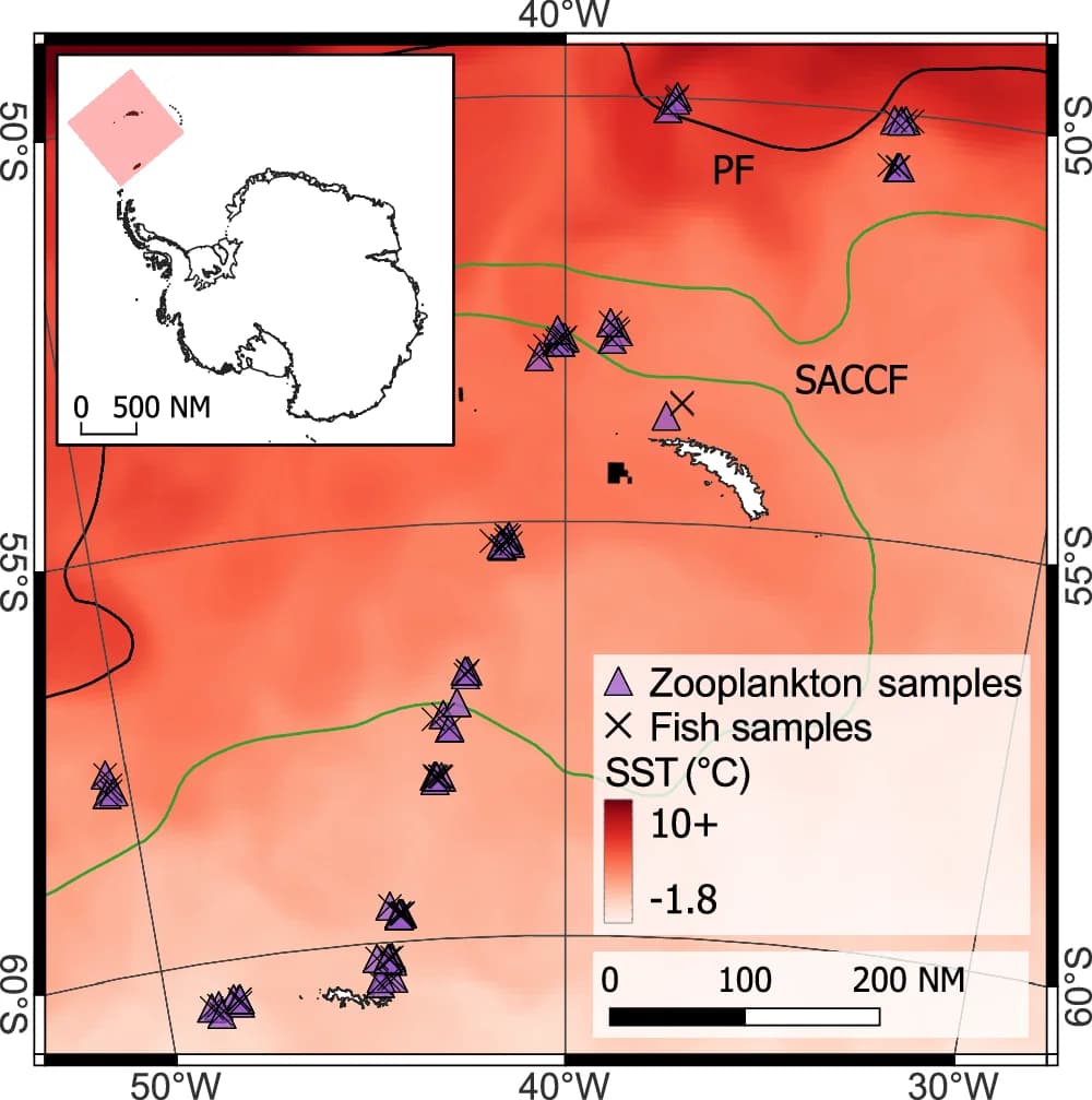 Open access visualization of Geo Map, Oceanic Fronts, Temperature Data, Map Projection, Missing Data