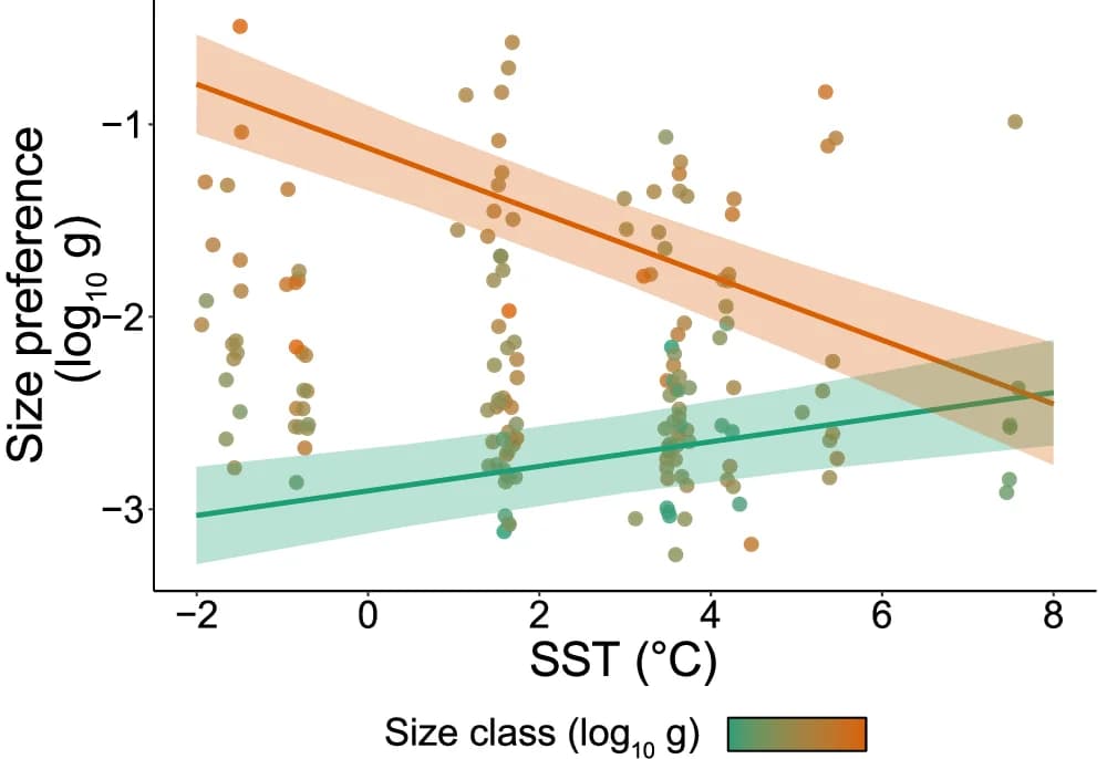 Open access visualization of Scatter Plot, Regression Plot, SST, Fish Size Class, Myctophid