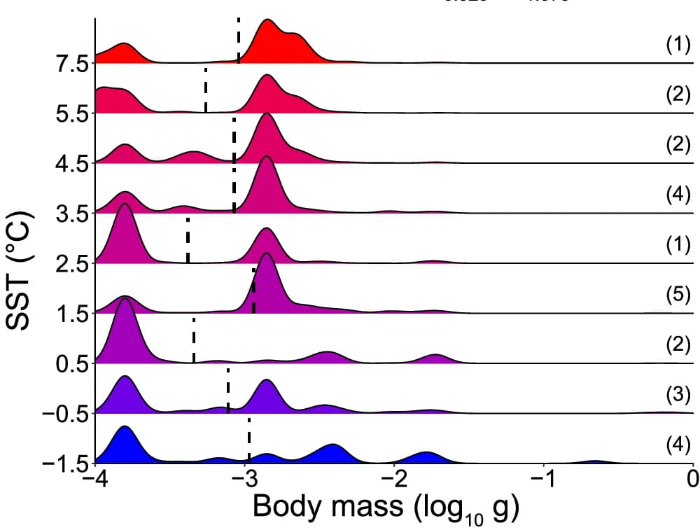Open access visualization of Ridge Plot, Density Plot, Zooplankton, Body Mass, Myctophids