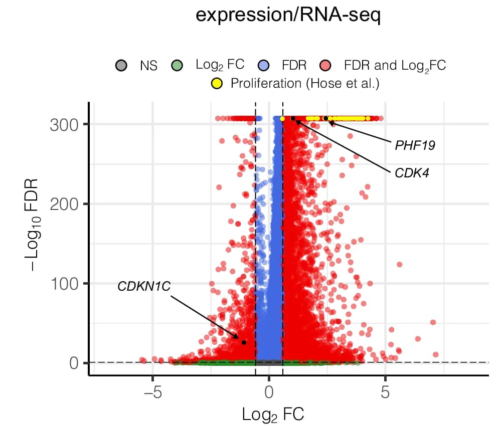 Open access visualization of Volcano Plot, Scatter Plot, Differentially Expressed Genes, Proliferation Genes