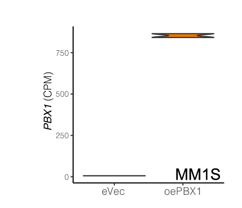 Open access visualization of Violin Plot, PBX1 Expression, MM1S eVec Cells, MM1S oePBX1 Cells