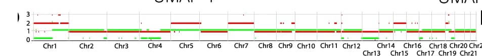Open access visualization of Bar Plot, WGS, CNV Profile, Patient Sample