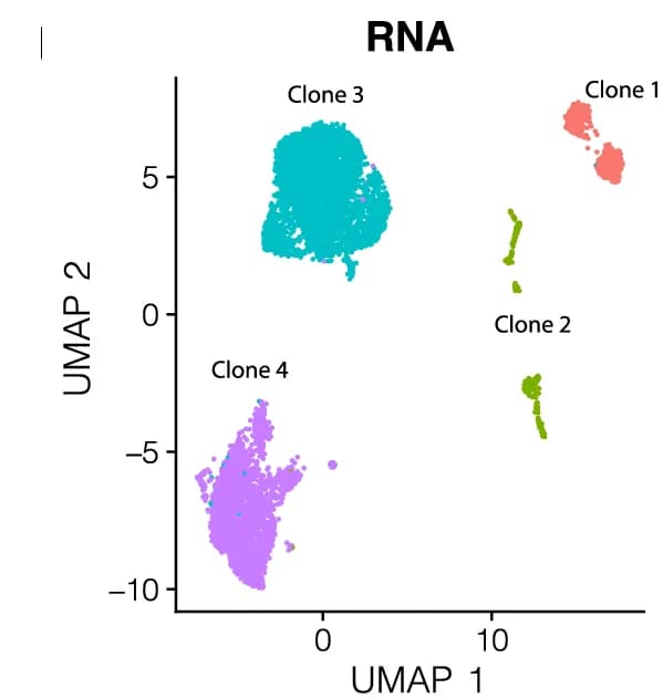 Open access visualization of Scatter Plot, UMAP, RNA, Clustering, Patient Sample