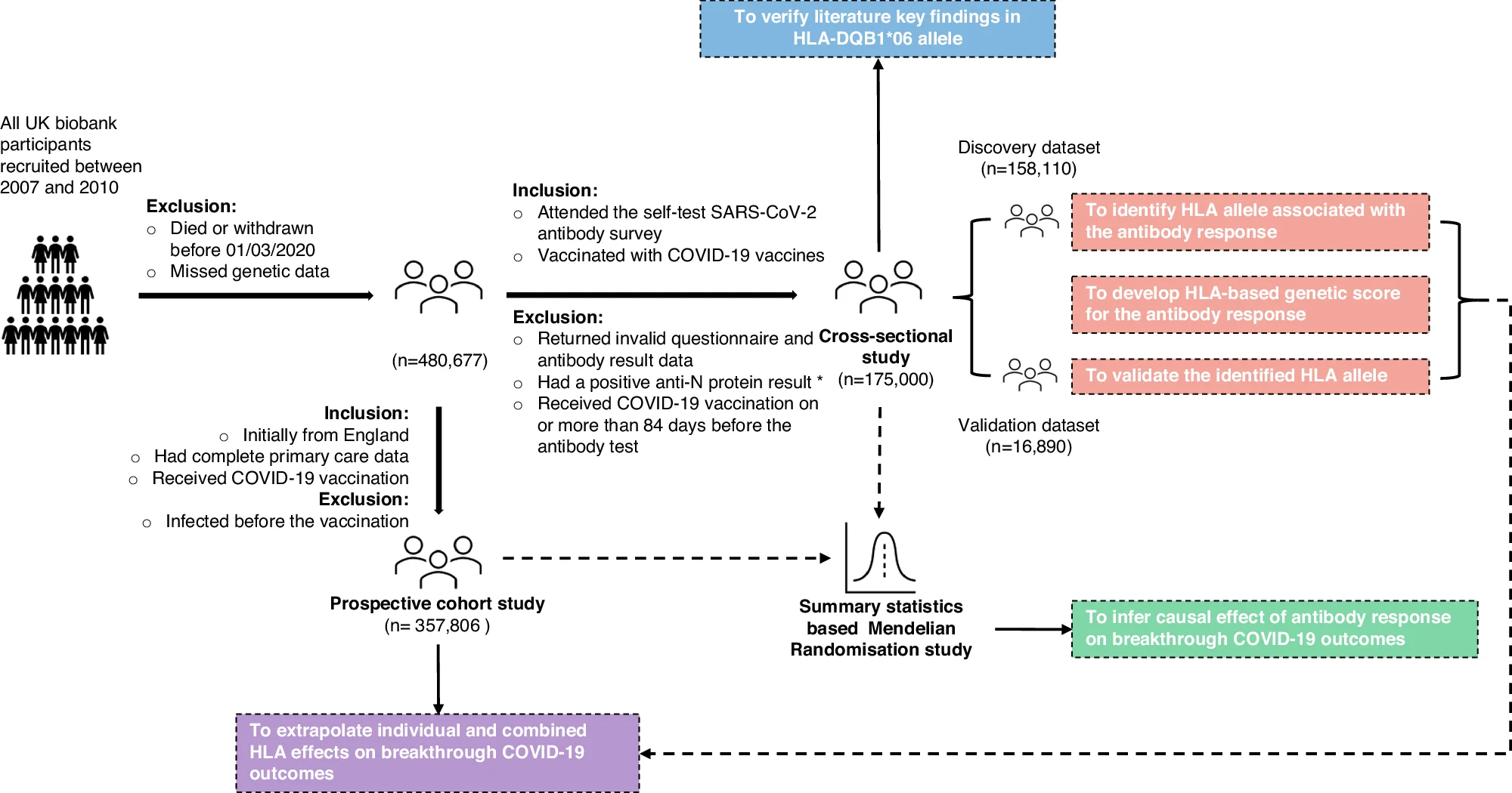 Open access visualization of Workflow, Flowchart, COVID-19, Infection Status, Antibody Study
