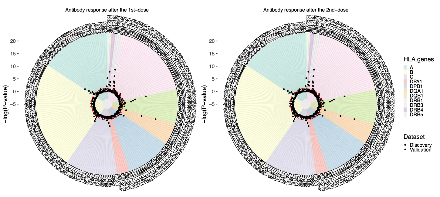 Open access visualization of Scatter Plot, Radar Chart, HLA Genes, Genetic Analysis, Antibody Response