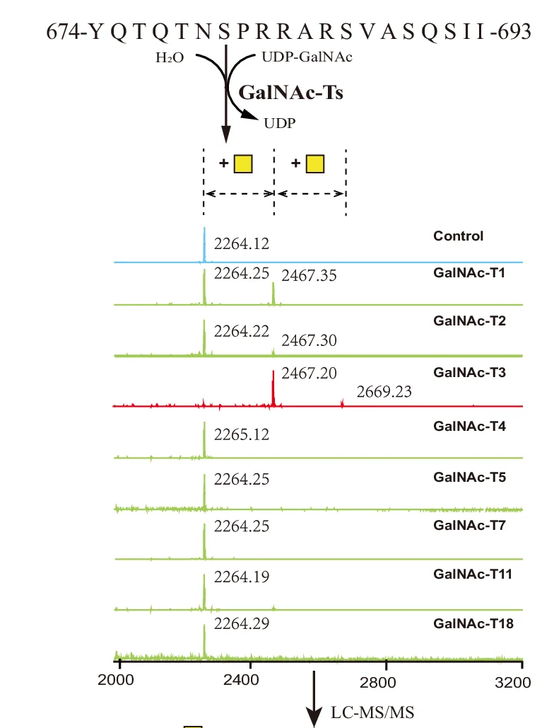 Open access visualization of Line Plot, Workflow, MALDI-TOF Analysis, GalNAcylation Reactions, GalNAc-Ts