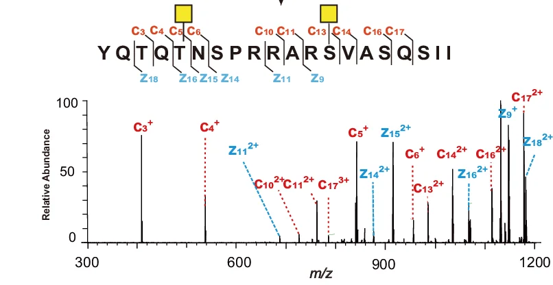 Open access visualization of Bar Plot, ETD-MS2 Spectrum, O-GalNAcylated Peptide, GalNAc-T7, Fragment Ions