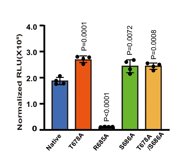 Open access visualization of Bar Plot, Error Bars, Bioluminescence, Furin Cleavage, HEK293T Cells