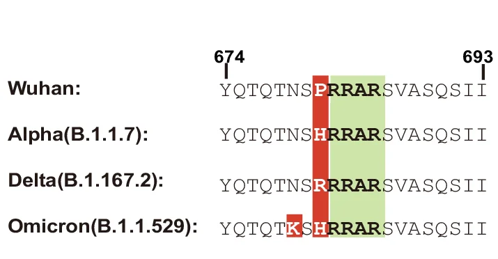 Open access visualization of Illustration, Table Image, Sequence Alignment, Spike Protein, SARS-CoV-2 Variants